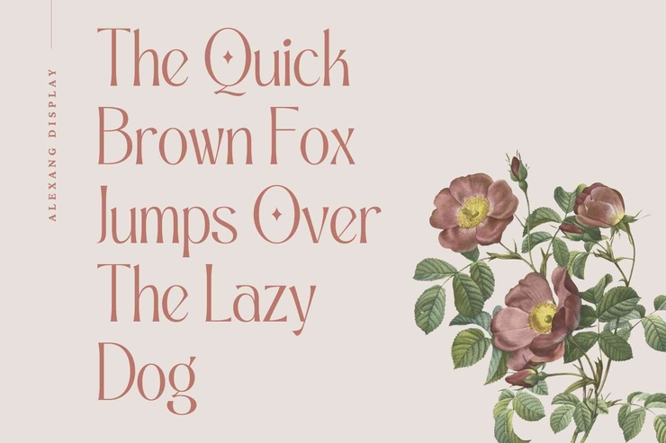 Alexang Display字体 8