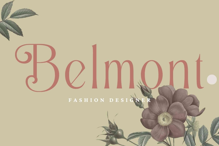 Alexang Display字体 10