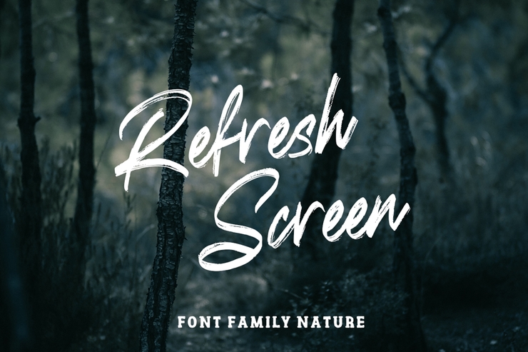 Refresh Screen字体 8