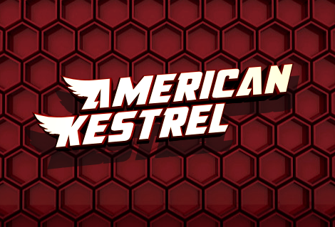 American Kestrel字体 3