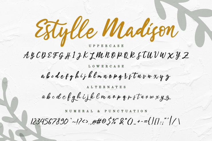 Estylle Madison字体 2