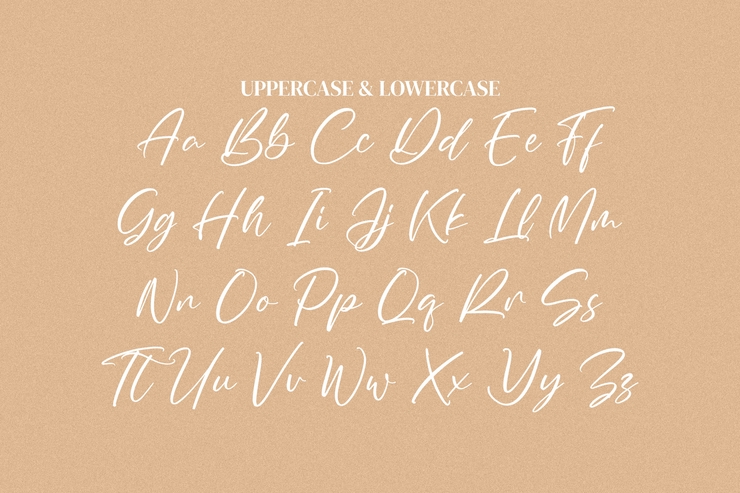 Summer Clarisa字体 6