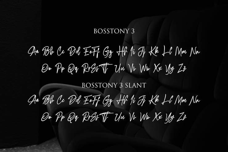 Bosstony 3字体 2