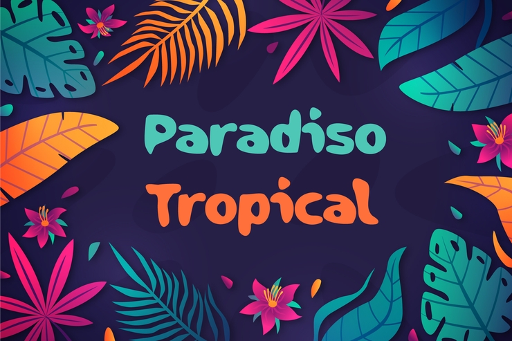 Paradiso Tropical Summer字体 1