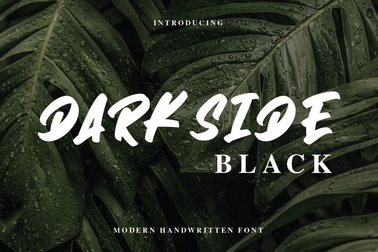 Darkside Black字体 4