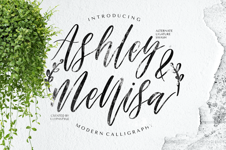 Ashley & Mellisa字体 8