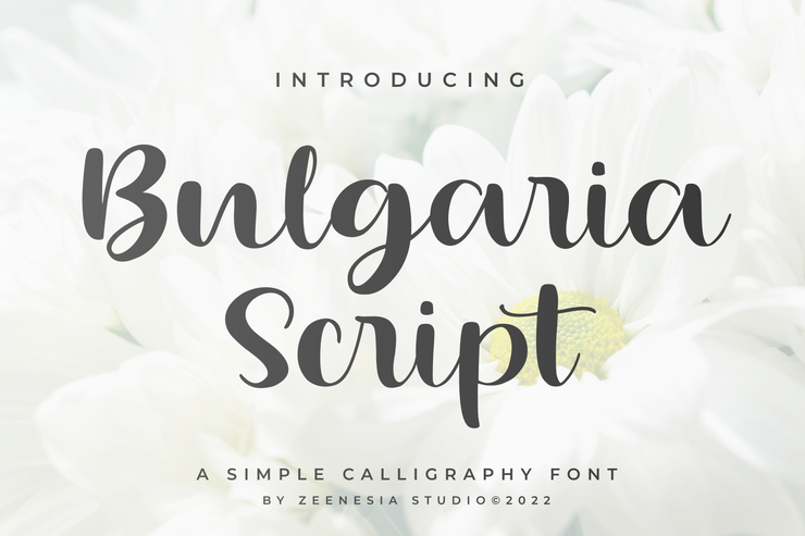 Bulgaria Script字体 4