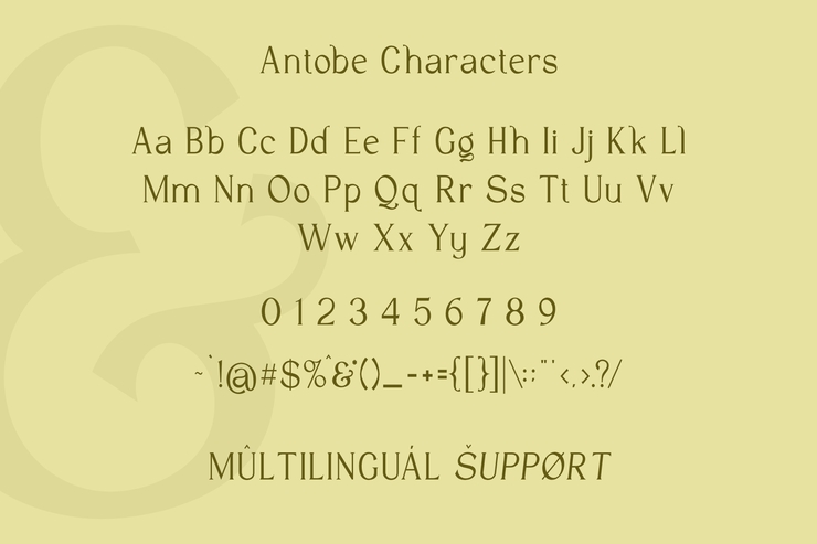 Antobe - Modern Serif字体 5