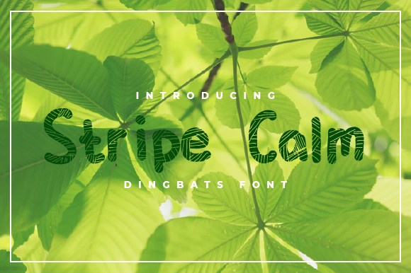 Stripe Calm字体 1