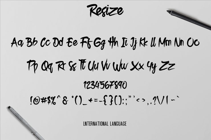 Resize regular字体 5