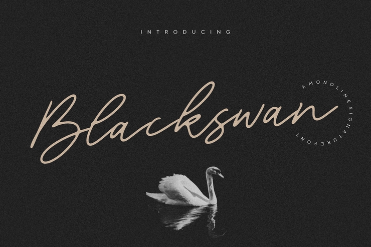 Blackswan字体 1