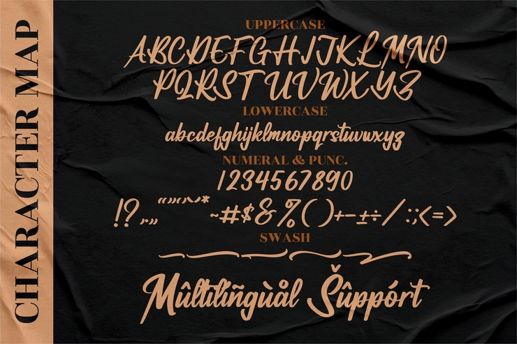Vifastev Caledon字体 9