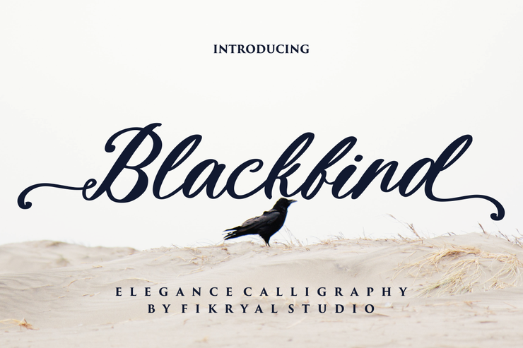 Blackbird字体 1