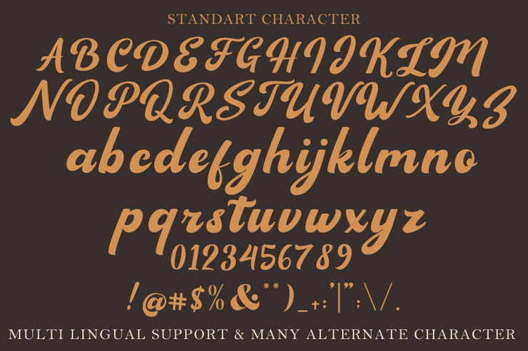 Sagha字体 4