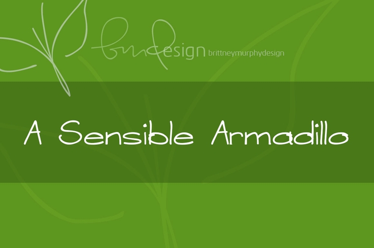 A Sensible Armadillo字体 1