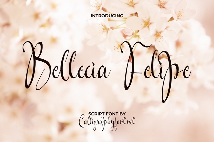 Bellecia Felipe字体 5