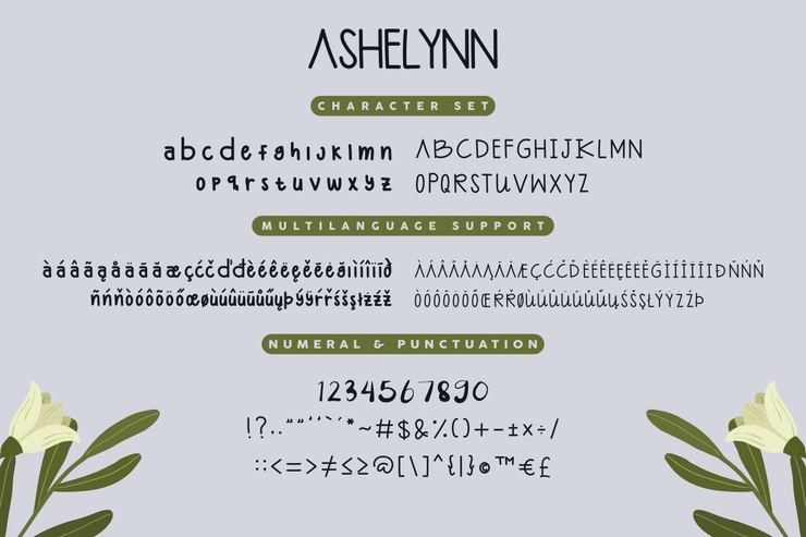 Ashelynn Sweet Demo Sans字体 1