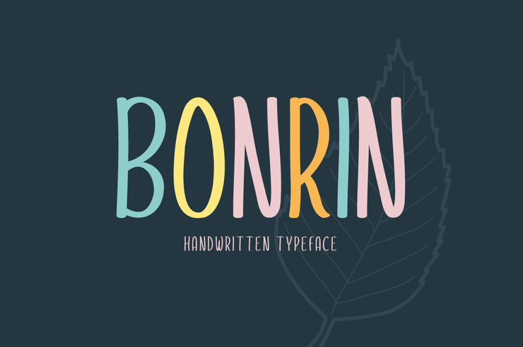 Bonrin字体 4