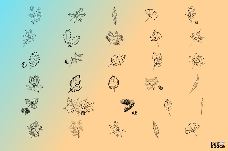 Arboris Folium字体 1