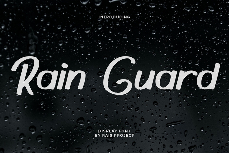 Rain Guard字体 1