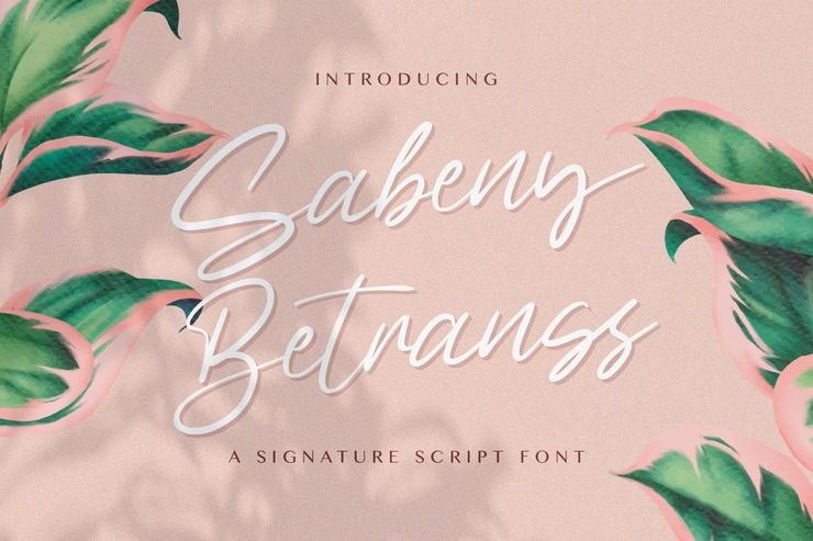 Sabeny Betranss字体 7