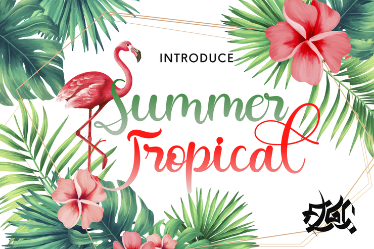 Summer Tropical字体 1