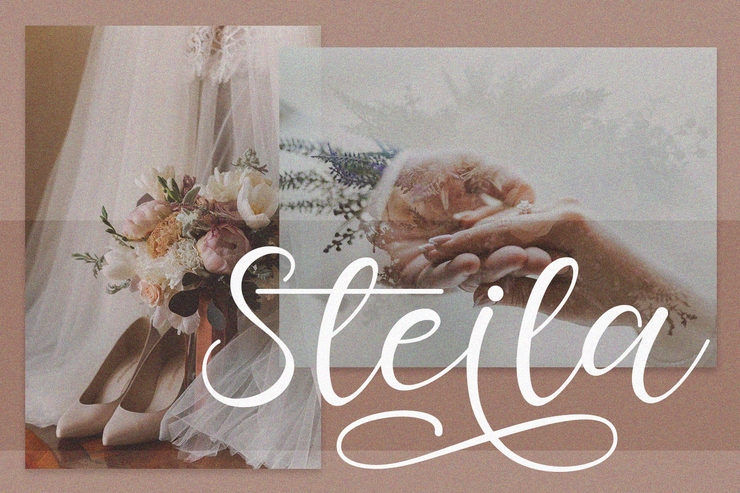 Manda - Modern Script字体 3