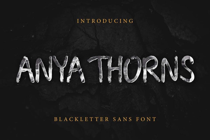 Anya Thorns字体 1
