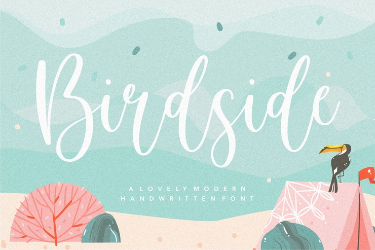 Birdside字体 1
