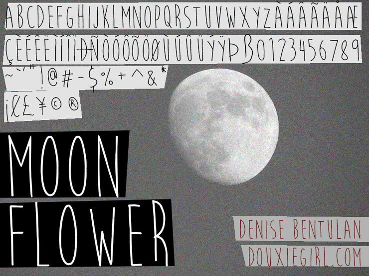 Moon Flower字体 3