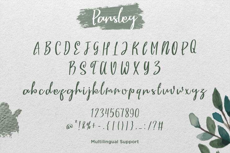 Parsley字体 4