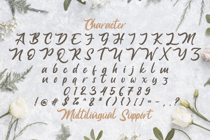 Anjelica Script字体 6
