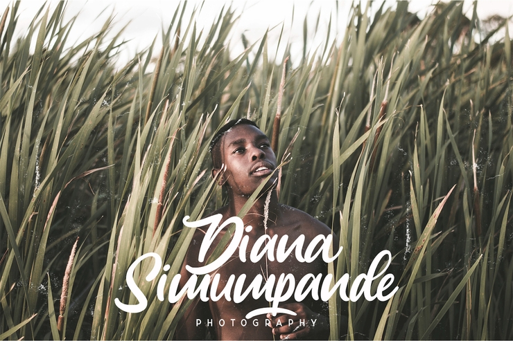 Anjelica Script字体 9