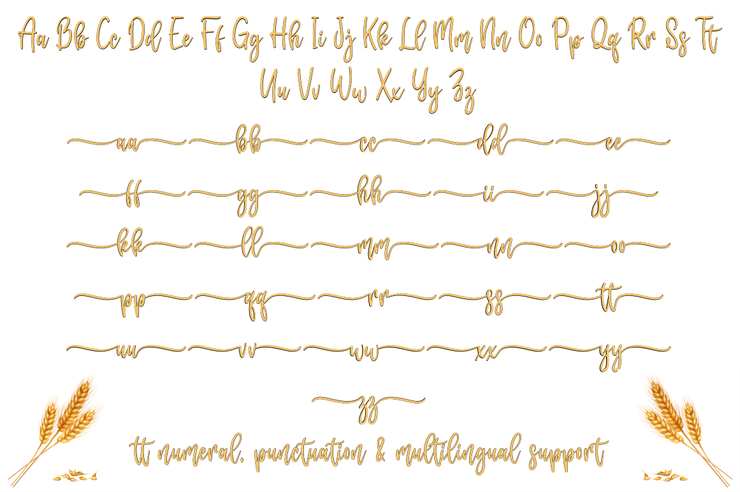 masterbaker字体 7