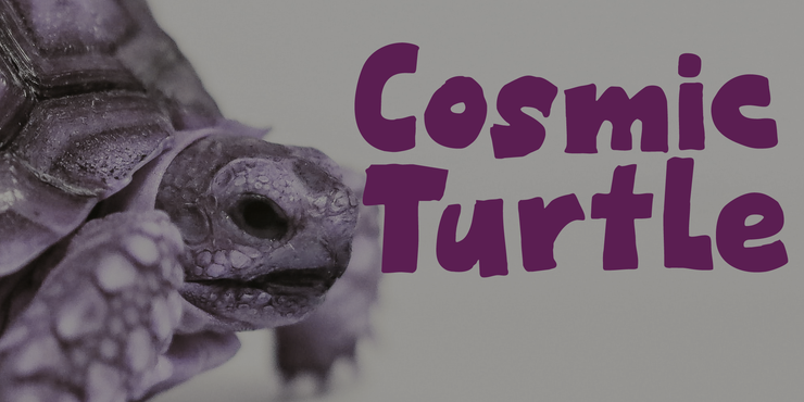 Cosmic Turtle字体 1
