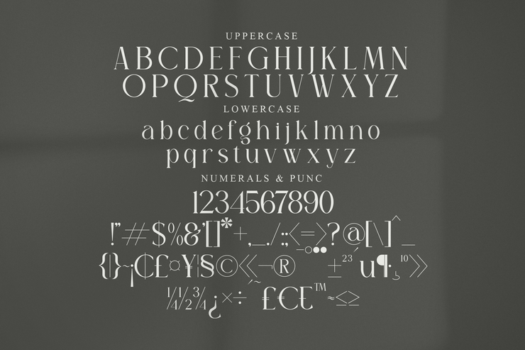 Sagire字体 8