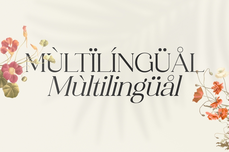 MOFAZE DEL MONTE字体 3