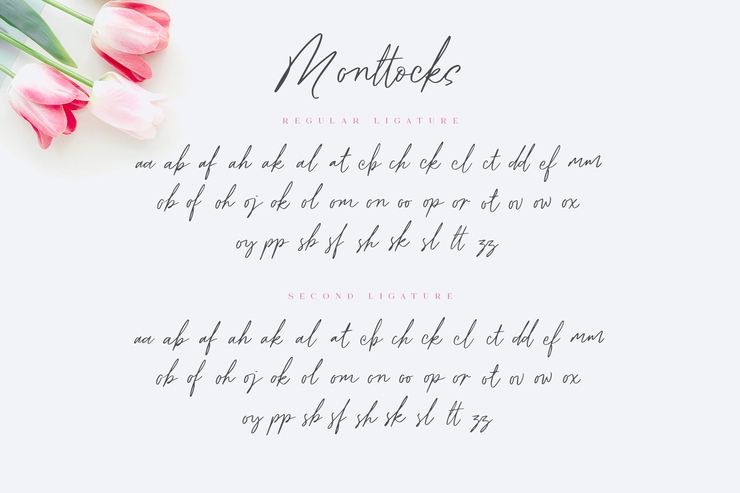 Monttocks字体 1