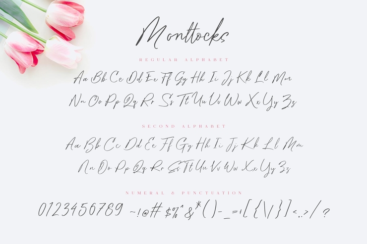 Monttocks字体 5