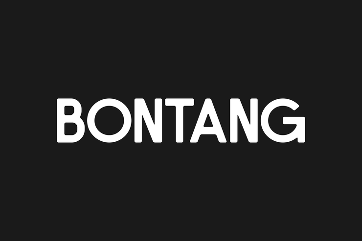 Bontang字体 1
