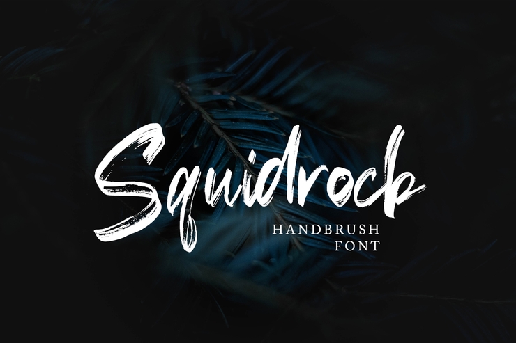 Squidrock字体 4