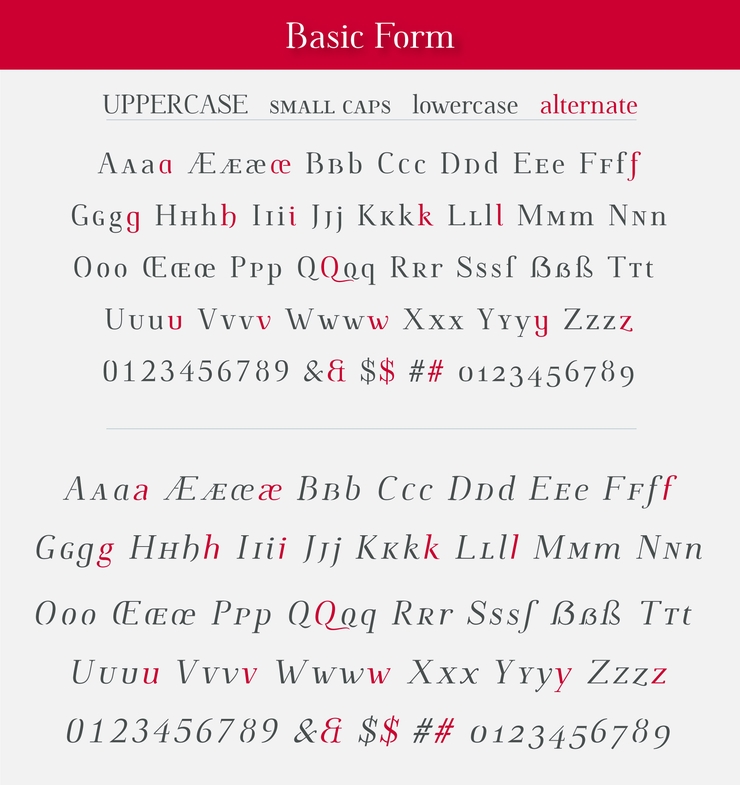 Omologo Personal字体 4