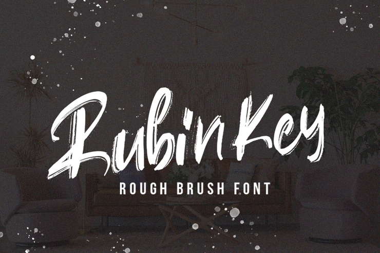 Rubin Key字体 1