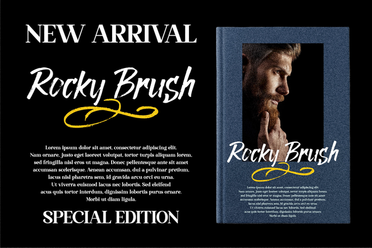 Rocky Brush字体 8