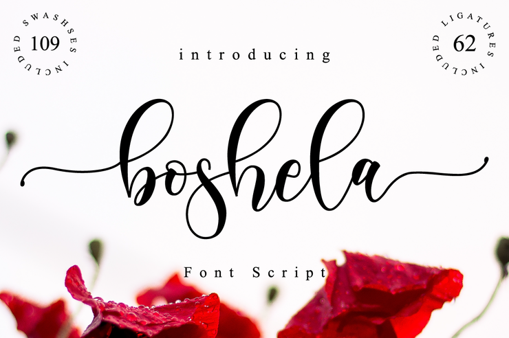 Boshela字体 1