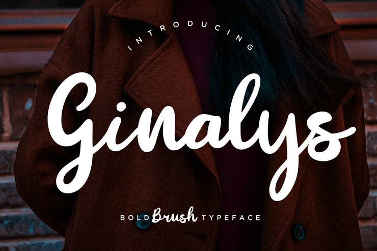 Ginalys字体 3