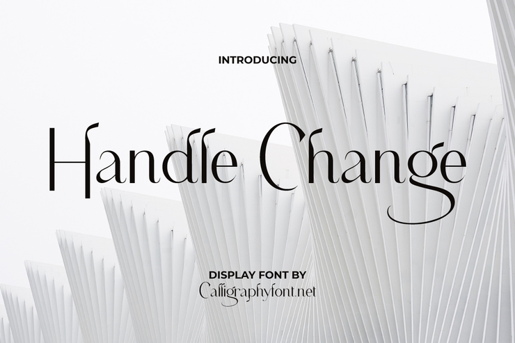 Handle Change字体 7