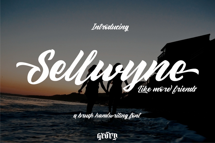 Sellwyne字体 2