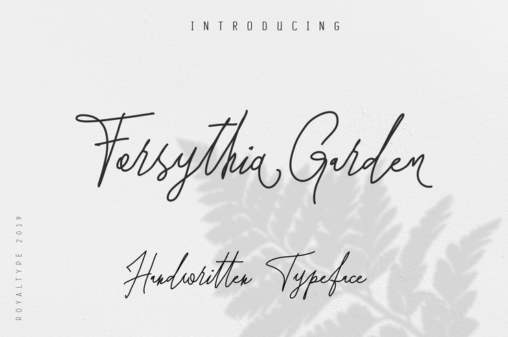Forsythia Garden字体 6