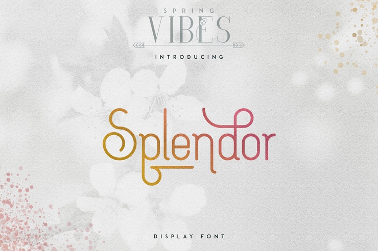 SPLENDOR字体 1